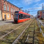 Nielegalna przesyłka skonfiskowana. Wewnątrz znajdowały się fragmenty rafy koralowej i wyroby z rogów zwierzęcych - galeria