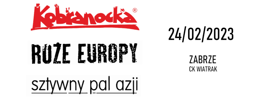 Kobranocka, Róże Europy, Sztywny Pal Azji - koncert - galeria