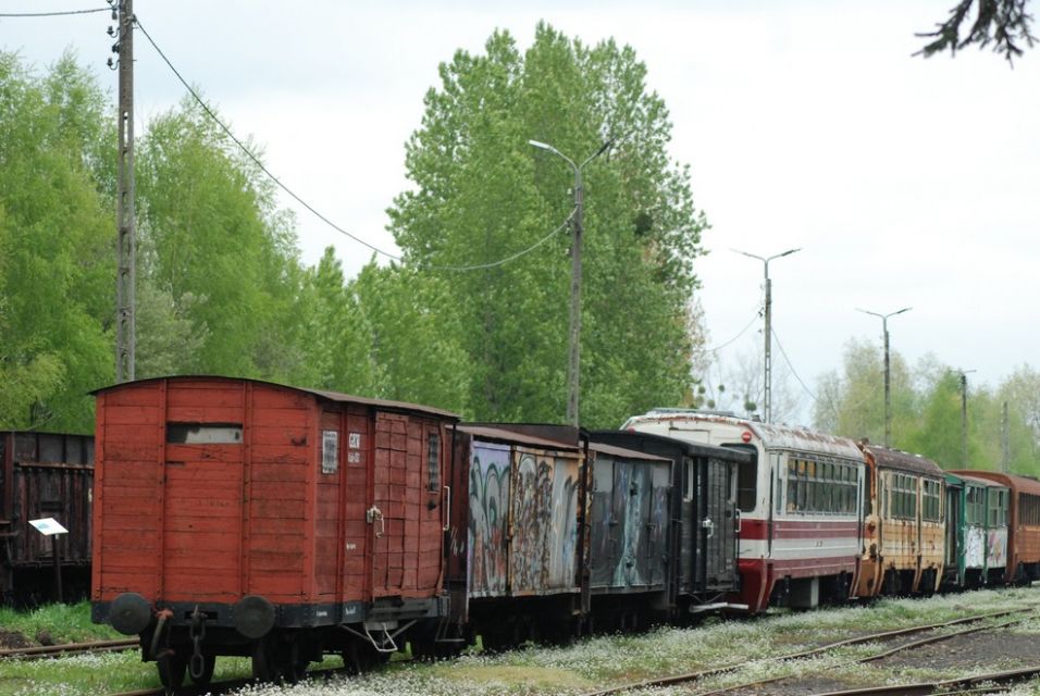 Wyjątkowa podróż z Bytomia do Tarnowskich Gór: Parowóz Ryś wyruszył w trasę, a wraz z nim ruszył sezon na wąskotorówkę - galeria