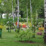 Ogród botaniczny w Mikołowie - co w nim znajdziemy? - galeria