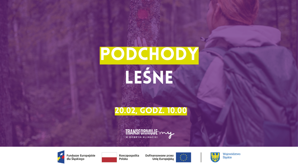Podchody leśne - galeria