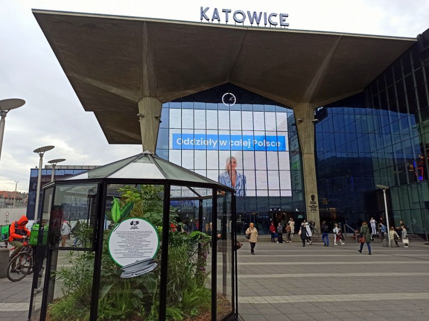 Przed Galerią Katowicką ustawiono gigantyczny las w słoiku. Będzie zdobił plac do września - galeria