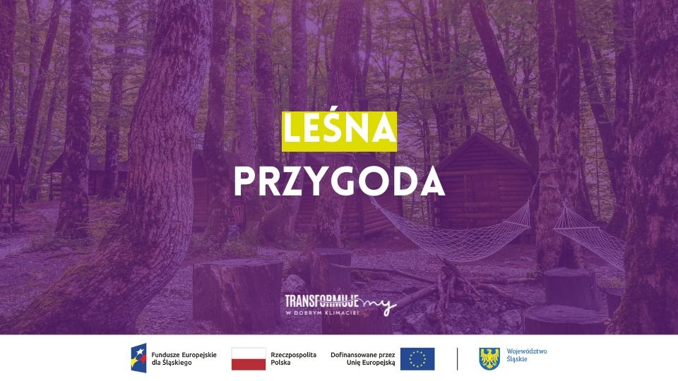 Leśna przygoda - galeria
