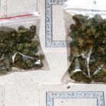 Policjanci kryminalni zatrzymali dilera i blisko 2,5 kilograma marihuany - galeria
