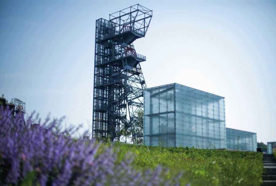 Marszałek województwa odwołał dyrektor Muzeum Śląskiego. "To skandaliczna decyzja" - galeria