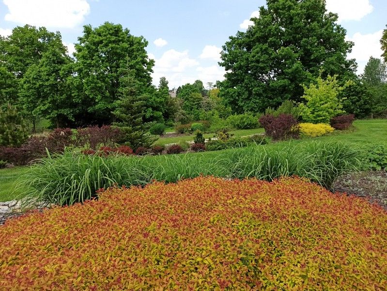 Śląski Ogród Botaniczny w Mikołowie - sielska kraina województwa śląskiego - galeria