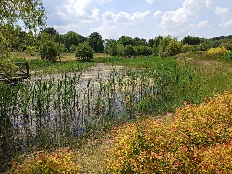 Śląski Ogród Botaniczny w Mikołowie - sielska kraina województwa śląskiego - galeria