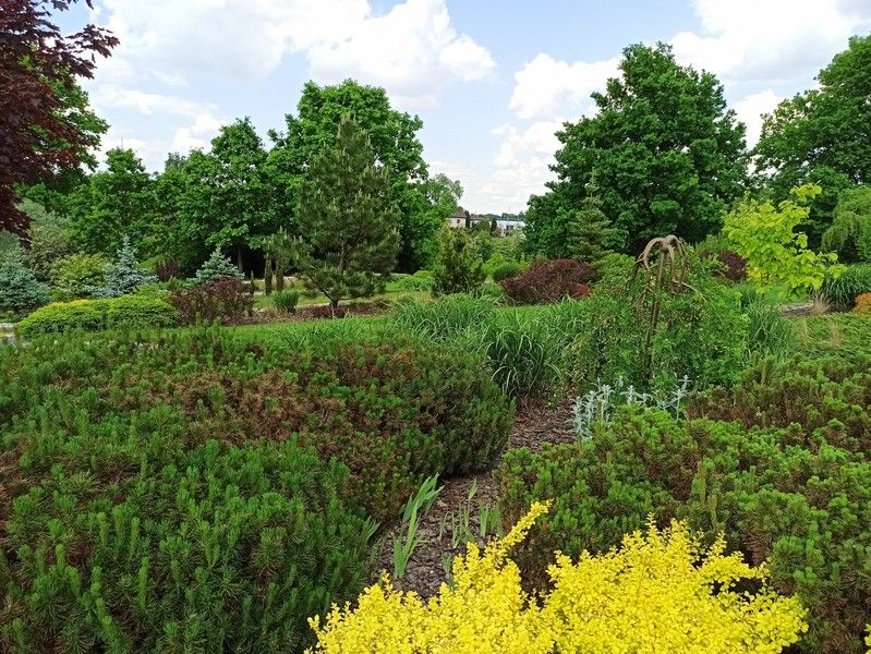 Śląski Ogród Botaniczny w Mikołowie - sielska kraina województwa śląskiego - galeria