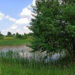 Śląski Ogród Botaniczny w Mikołowie - sielska kraina województwa śląskiego - galeria