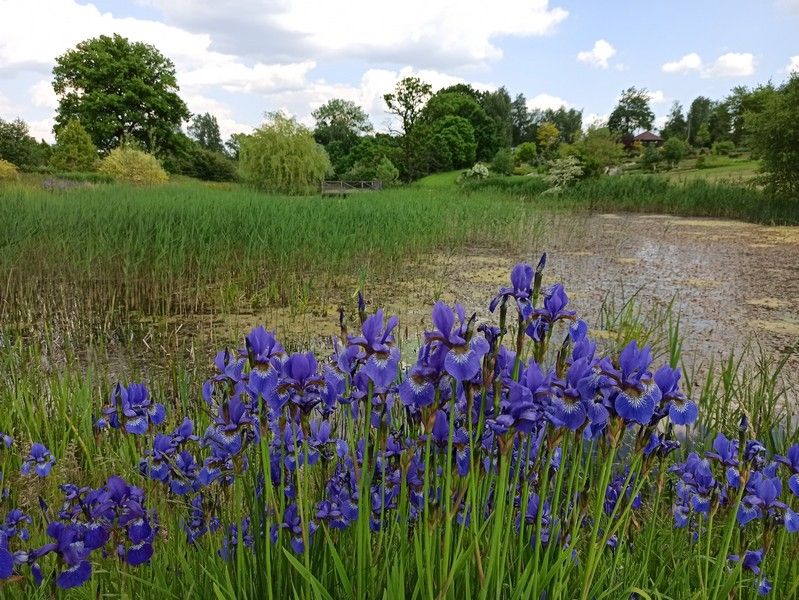 Śląski Ogród Botaniczny w Mikołowie - sielska kraina województwa śląskiego - galeria