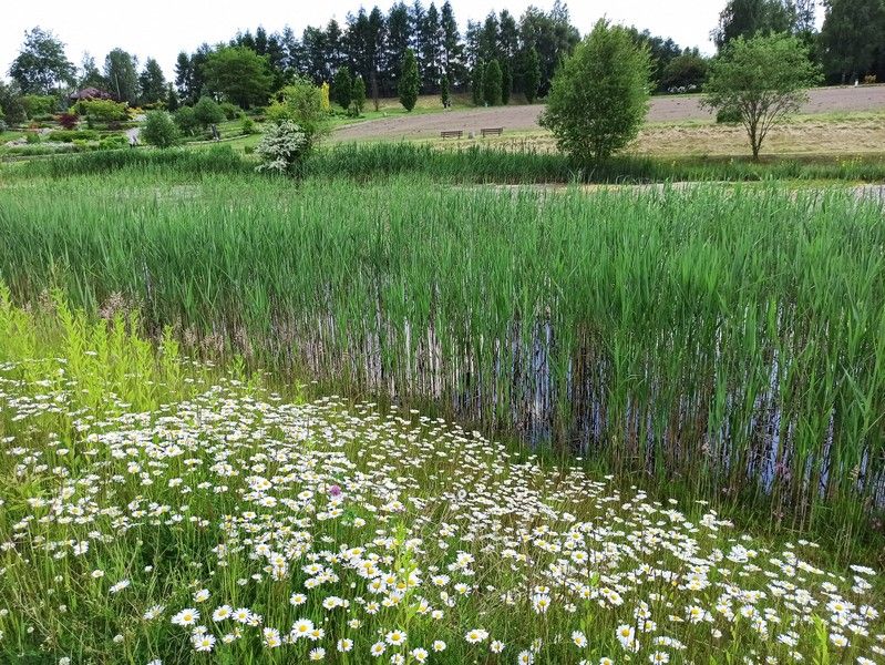 Śląski Ogród Botaniczny w Mikołowie - sielska kraina województwa śląskiego - galeria