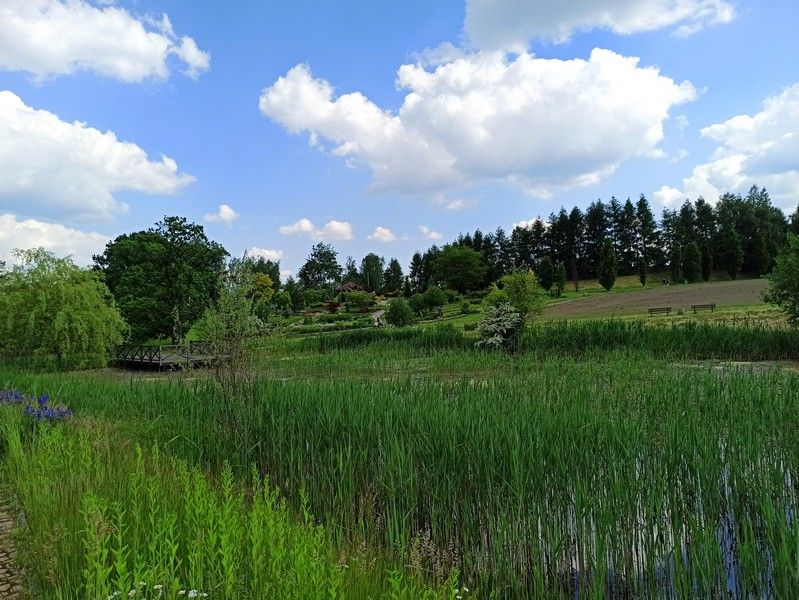 Śląski Ogród Botaniczny w Mikołowie - sielska kraina województwa śląskiego - galeria
