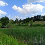 Śląski Ogród Botaniczny w Mikołowie - sielska kraina województwa śląskiego - galeria