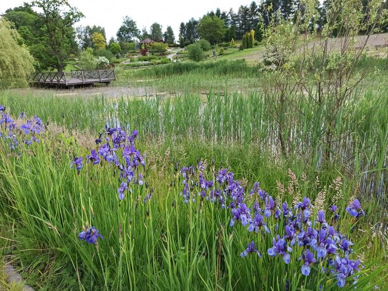 Śląski Ogród Botaniczny w Mikołowie - sielska kraina województwa śląskiego - galeria