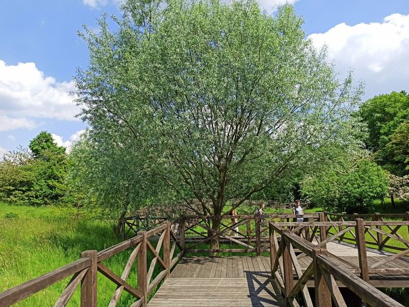 Śląski Ogród Botaniczny w Mikołowie - sielska kraina województwa śląskiego - galeria