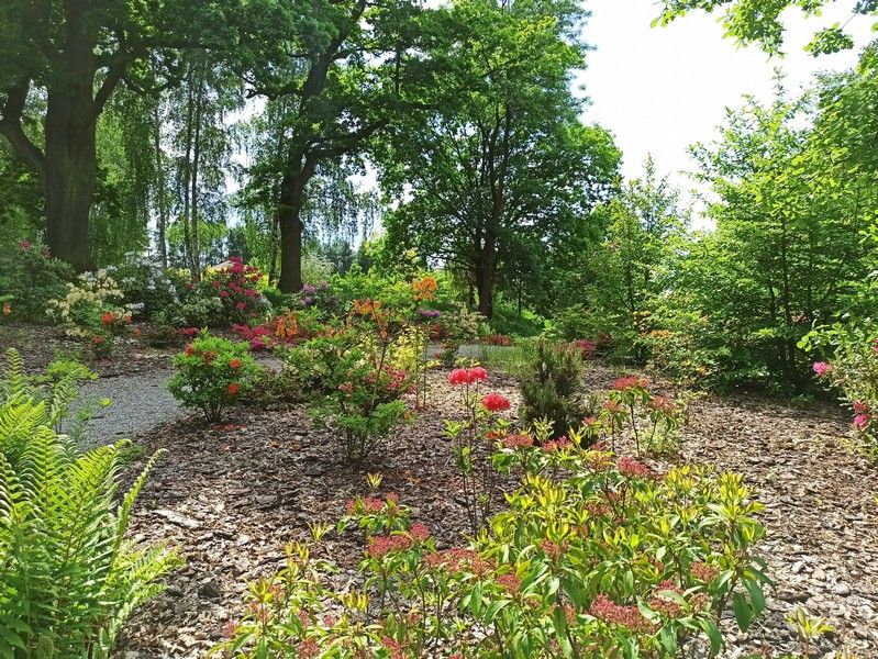 Śląski Ogród Botaniczny w Mikołowie - sielska kraina województwa śląskiego - galeria