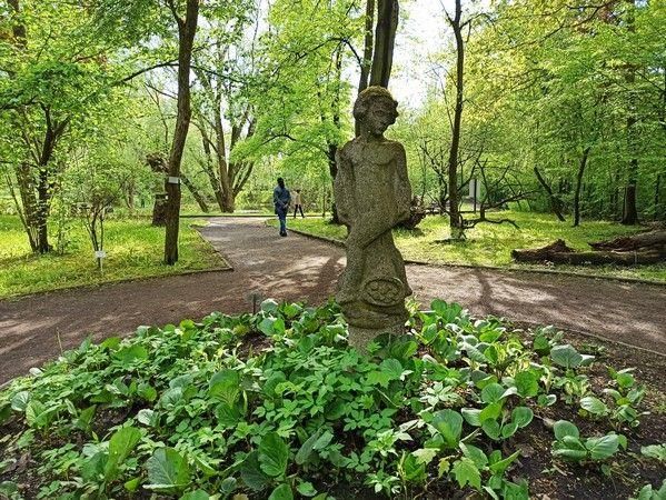 Miejski Ogród Botaniczny w Zabrzu to jedna z perełek województwa śląskiego - galeria