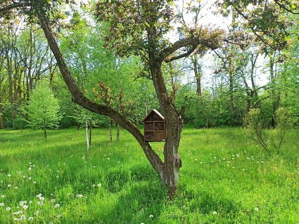 Miejski Ogród Botaniczny w Zabrzu to jedna z perełek województwa śląskiego - galeria