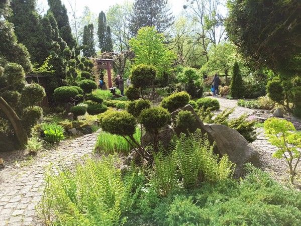 Miejski Ogród Botaniczny w Zabrzu to jedna z perełek województwa śląskiego - galeria