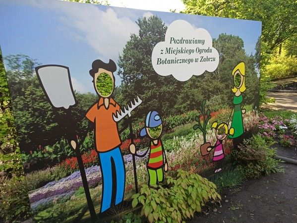 Miejski Ogród Botaniczny w Zabrzu to jedna z perełek województwa śląskiego - galeria