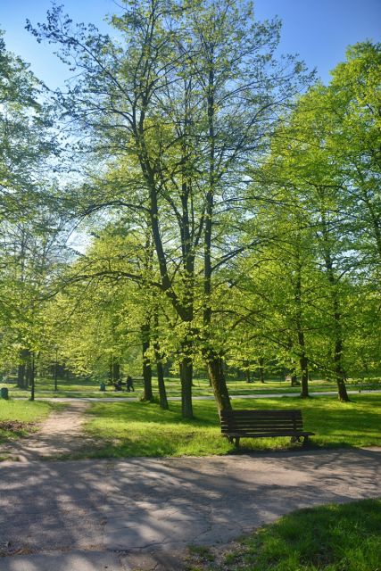 Wiosna zawitała do Parku Śląskiego! Zobaczcie, jak jest pięknie! [ZDJĘCIA] - galeria