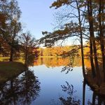 Park w Świerklańcu to jeden z najciekawszych parków województwa śląskiego [Galeria] - galeria