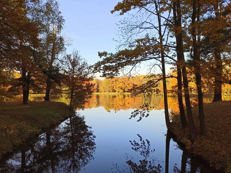 Park w Świerklańcu to jeden z najciekawszych parków województwa śląskiego [Galeria] - galeria