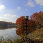 Park w Świerklańcu to jeden z najciekawszych parków województwa śląskiego [Galeria] - galeria