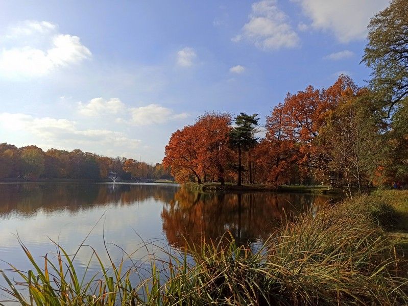 Park w Świerklańcu to jeden z najciekawszych parków województwa śląskiego [Galeria] - galeria