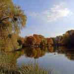 Park w Świerklańcu to jeden z najciekawszych parków województwa śląskiego [Galeria] - galeria