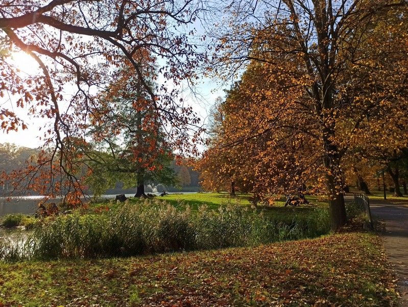 Park w Świerklańcu to jeden z najciekawszych parków województwa śląskiego [Galeria] - galeria