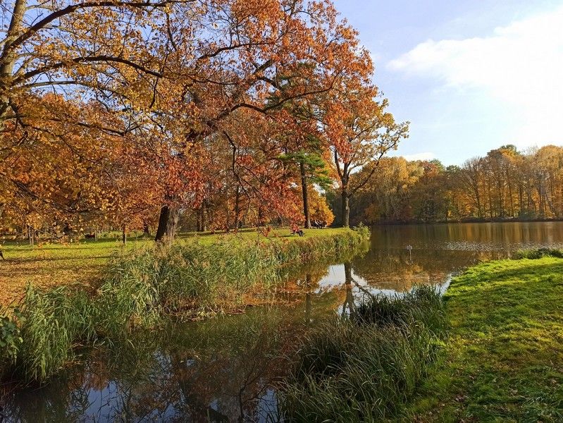 Park w Świerklańcu to jeden z najciekawszych parków województwa śląskiego [Galeria] - galeria