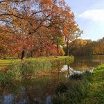 Park w Świerklańcu to jeden z najciekawszych parków województwa śląskiego [Galeria] - galeria