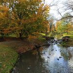 Park w Świerklańcu to jeden z najciekawszych parków województwa śląskiego [Galeria] - galeria