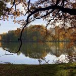 Park w Świerklańcu to jeden z najciekawszych parków województwa śląskiego [Galeria] - galeria