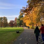 Park w Świerklańcu to jeden z najciekawszych parków województwa śląskiego [Galeria] - galeria