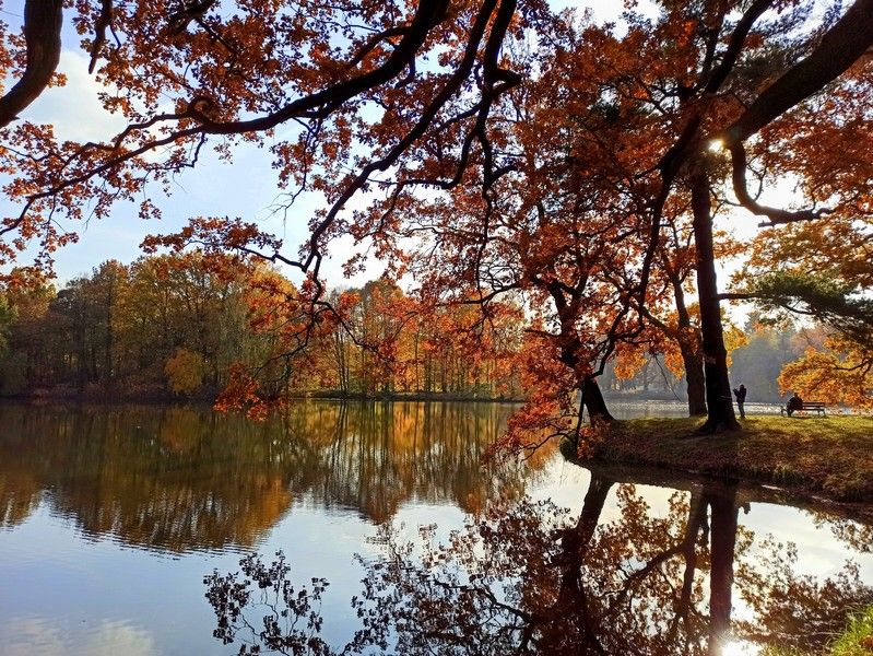 Park w Świerklańcu to jeden z najciekawszych parków województwa śląskiego [Galeria] - galeria