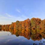 Park w Świerklańcu to jeden z najciekawszych parków województwa śląskiego [Galeria] - galeria