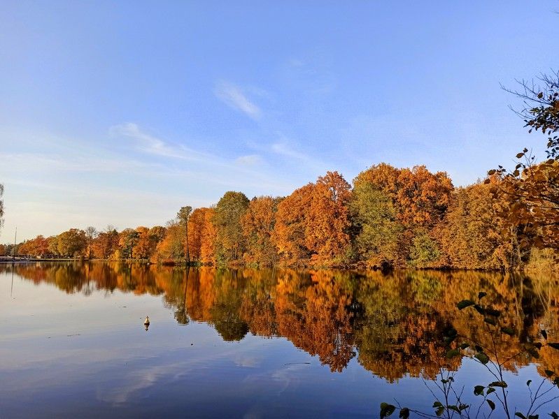 Park w Świerklańcu to jeden z najciekawszych parków województwa śląskiego [Galeria] - galeria