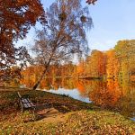 Park w Świerklańcu to jeden z najciekawszych parków województwa śląskiego [Galeria] - galeria