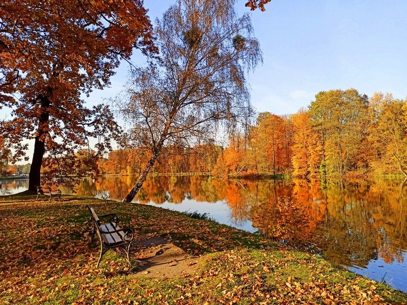 Park w Świerklańcu to jeden z najciekawszych parków województwa śląskiego [Galeria] - galeria