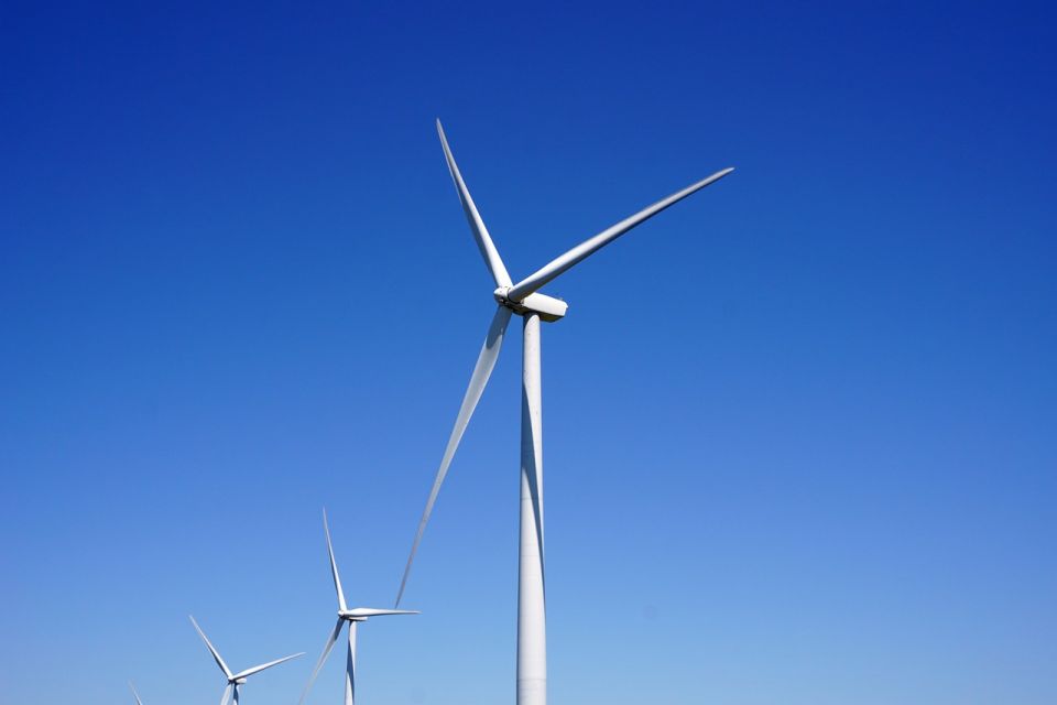 Spółki Tauron, PGE i Enea połączą siły, by realizować projekty z zakresu morskiej energetyki wiatrowej - galeria