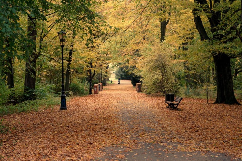 Park Zamkowy w Pszczynie idealny na jesienne spacery. Feeria barw zachęca do odwiedzin - galeria