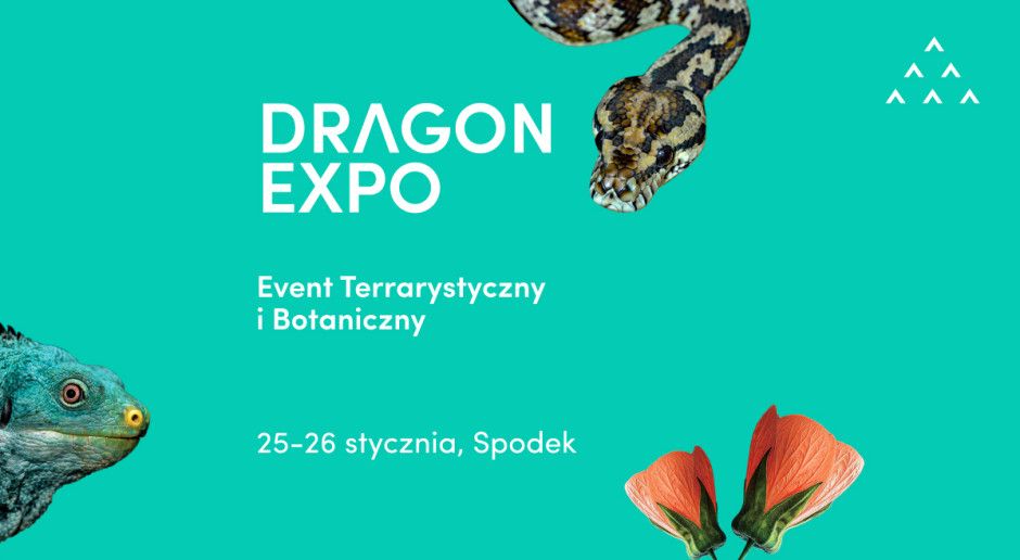 Dragon Expo | Event Terrarystyczny i Botaniczny - galeria