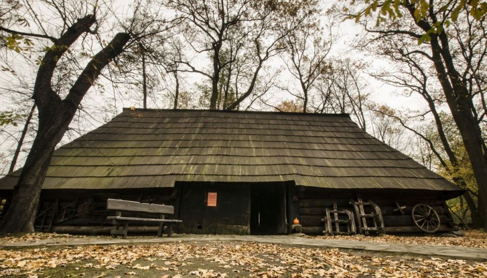 Wizyta w Zagrodzie Wsi Pszczyńskiej — wiejskie życie w śląskiej odsłonie!  - galeria