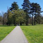 Idealne miejsce na spacer i nie tylko. Park w Świerklańcu i Pałac Kawalera - galeria