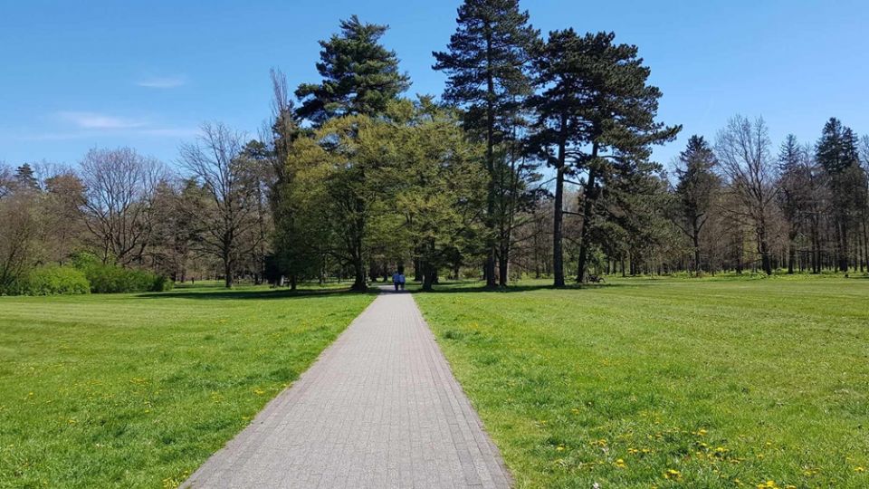 Idealne miejsce na spacer i nie tylko. Park w Świerklańcu i Pałac Kawalera - galeria