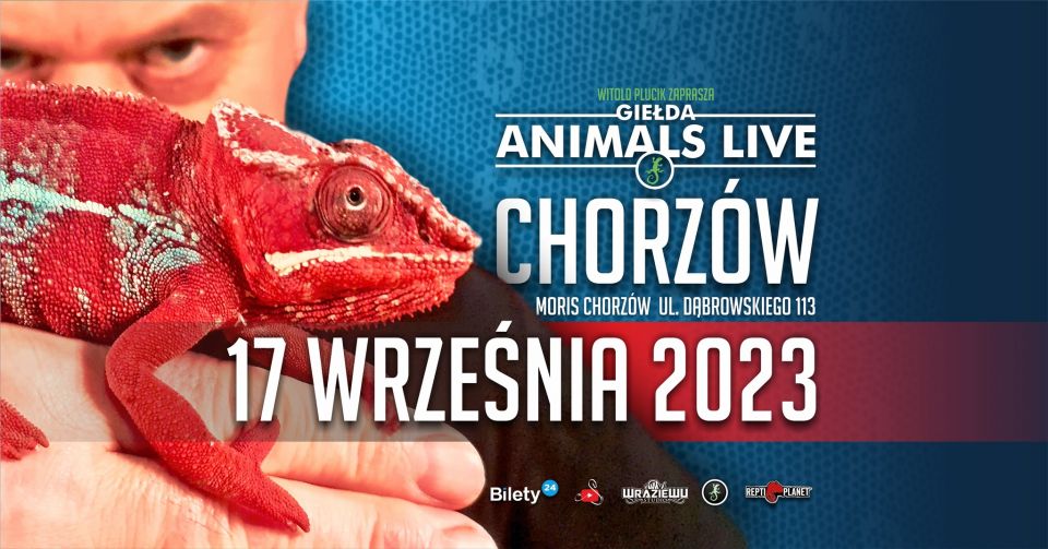 Animals Live Chorzów. Terrarystyka Botanika Akwarystyka - galeria