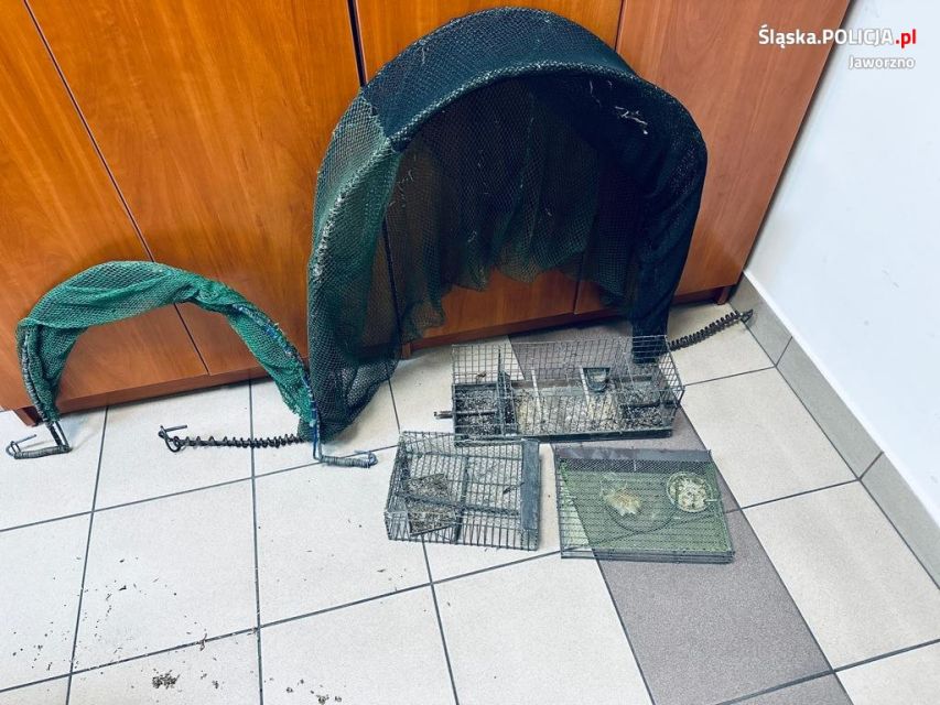 Jaworzno: Złapał i przetrzymywał chronione prawem ptaki! - galeria