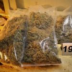 Będzin: Policjanci przejęli ponad kilogram narkotyków i zlikwidowali plantację marihuany! - galeria